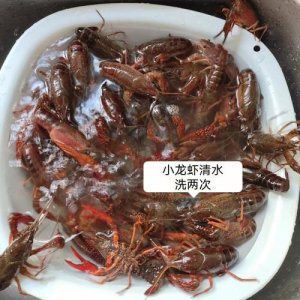 ​如何清洗龙虾（清洗龙虾的步骤）