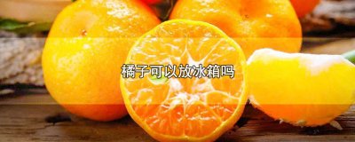 ​橘子可以放冰箱吗冬天 橘子是否可以放冰箱