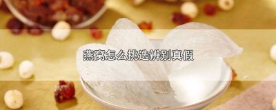 ​怎么看燕窝真假 燕窝怎么分真假视频