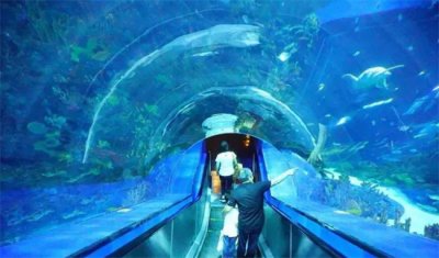 ​海洋馆可以看什么
