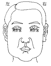 揭秘最旺夫的11种面相(旺夫相到底是那种面相)(3)