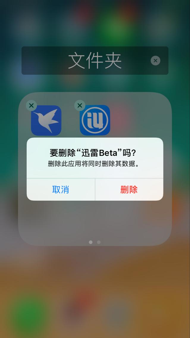 最新ios版迅雷beta安装方法（这可能是最近唯一能用的苹果版迅雷了）(2)