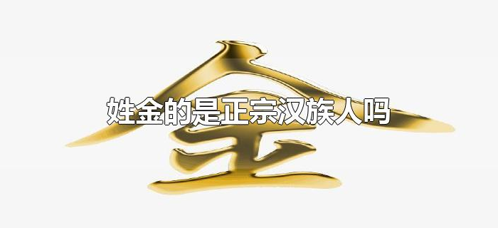 姓金的是正宗汉族人吗