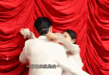 谢娜与张杰个人简介（网曝谢娜出轨肖战并怀孕）(3)