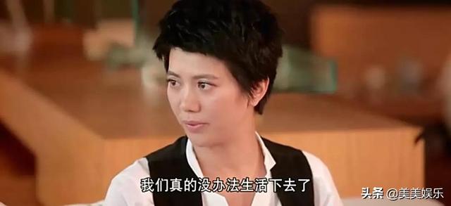 谢娜与张杰个人简介（网曝谢娜出轨肖战并怀孕）(13)