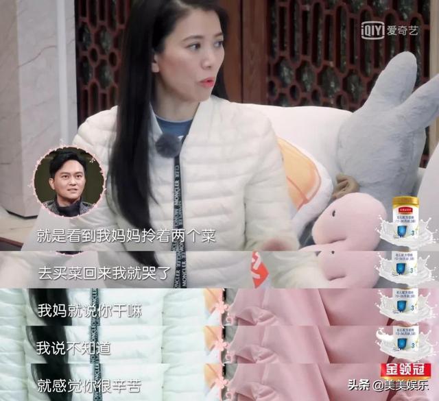 谢娜与张杰个人简介（网曝谢娜出轨肖战并怀孕）(11)