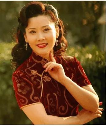 何赛飞与老公合影（老戏骨何赛飞被母亲抛弃）(1)