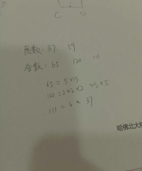 合数是什么意思