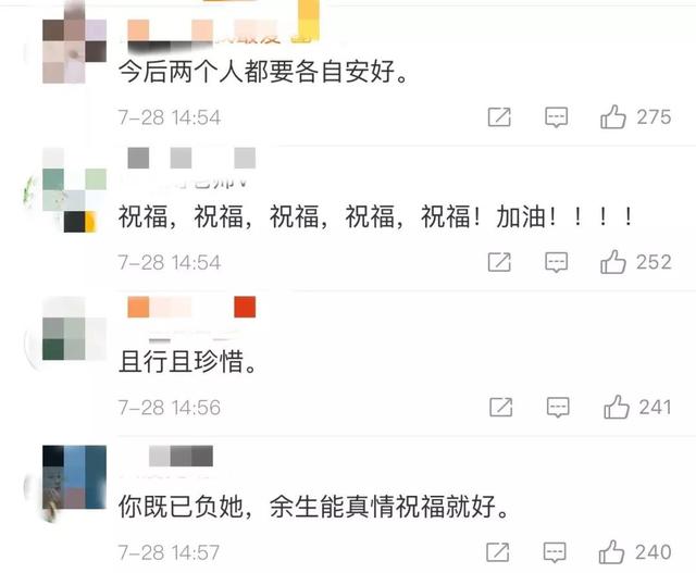 文章马伊琍宣布分手（文章马伊琍正式宣布离婚）(9)