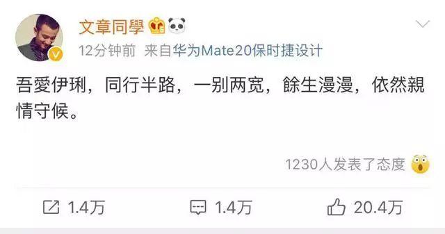 文章马伊琍宣布分手（文章马伊琍正式宣布离婚）(2)