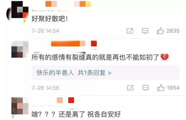 文章马伊琍宣布分手（文章马伊琍正式宣布离婚）(10)