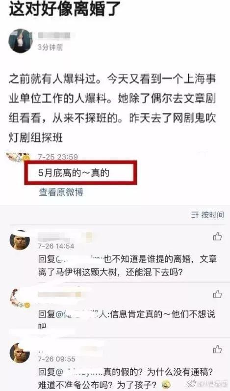 文章马伊琍宣布分手（文章马伊琍正式宣布离婚）(11)