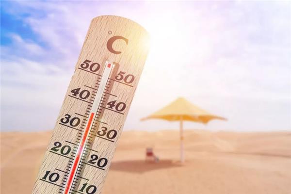 三伏天艾灸最佳部位 三伏天艾灸最佳时间 三伏天艾灸最佳部位 三伏天艾灸最佳时间