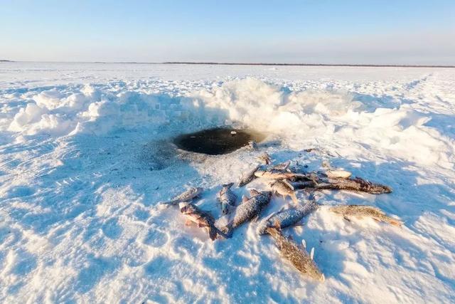 黑瞎子岛有出海口(探访祖国的最东端)(29)