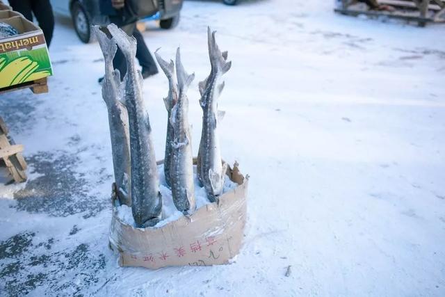 黑瞎子岛有出海口(探访祖国的最东端)(34)