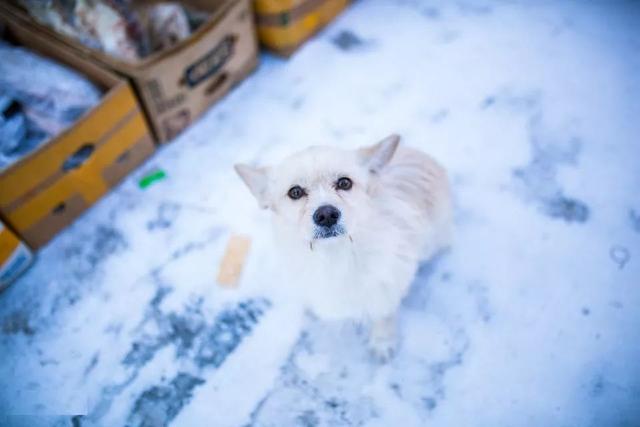 黑瞎子岛有出海口(探访祖国的最东端)(35)