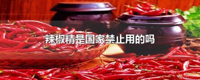 ​辣椒精是国家禁止用的吗